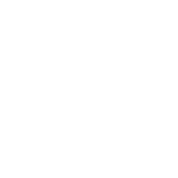 day after day logo